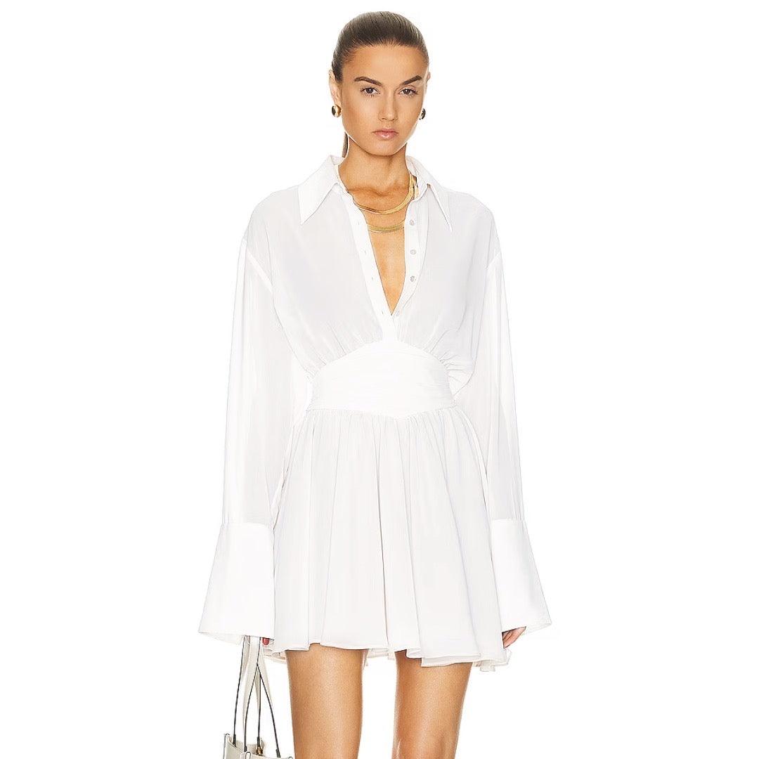 Delicate Dahlia Sheer Shirt Mini Dress