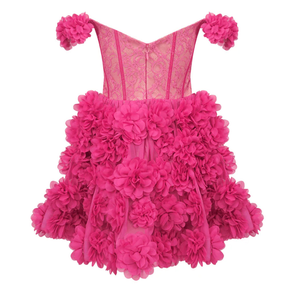 Opulent Sweetheart Off Shoulder Sheer Lace Corset High Waist Rosette Mini Dress