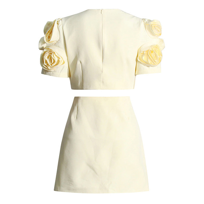 Romantic Crew Neck Short Sleeve Crop Top High Waist Rosette Matching Set