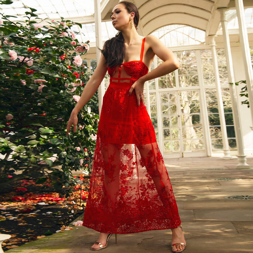 Sexy Sheer Mesh Floral Embroidered Bandage Maxi Dress - Red